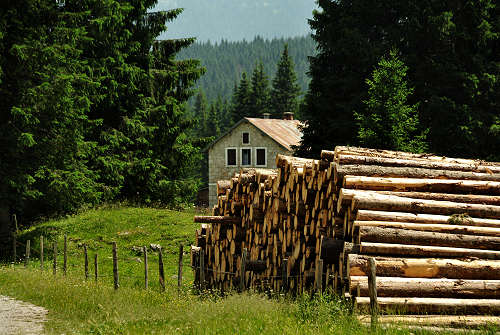 malga Buson a Marcesina