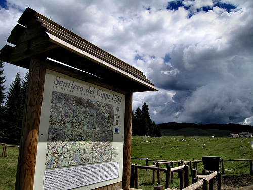 Sentiero dei Cippi - Enego Marcesina - Altopiano di Asiago