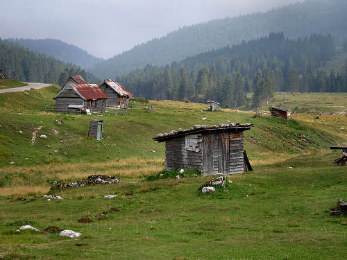 Sentiero dei Cippi - Enego Marcesina - Altopiano di Asiago
