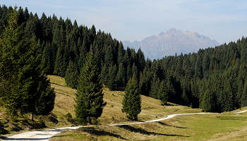 Val Brutta con sfondo Cima d'Asta