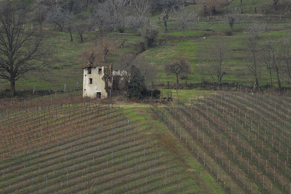 Marostica, Breganze, Velo, Laverda, Covolo, Lusiana