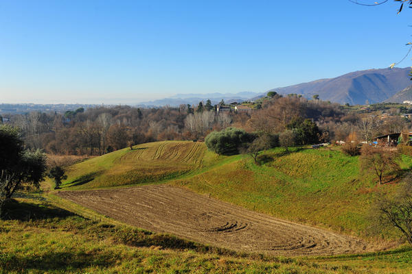 Colli degli Ezzelini, paesaggio a Mussolente