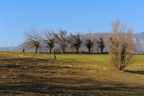 Colli degli Ezzelini, paesaggio a Mussolente