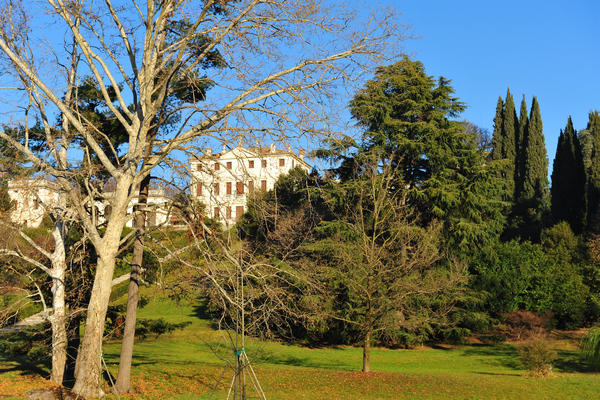 Colli degli Ezzelini, villa Negri-Piovene a Mussolente