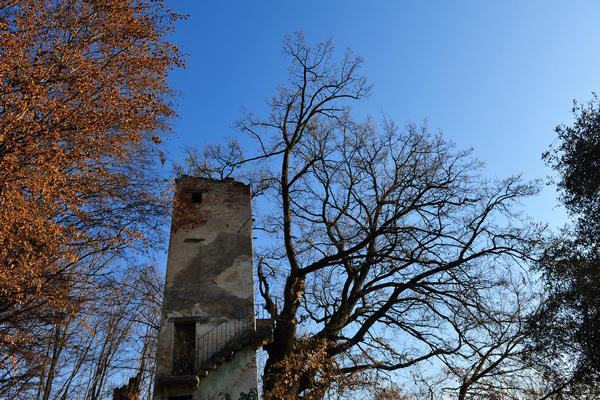 Colli degli Ezzelini, villa Negri-Piovene a Mussolente