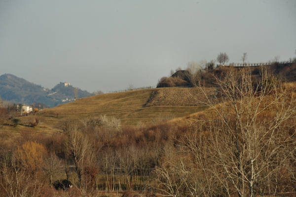 Colli Ezzelini, Parco Ezzelini San Zenone degli Ezzelini