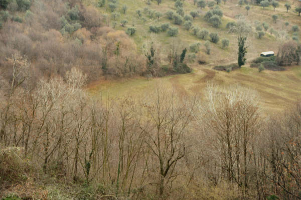 Romano Alto d'Ezzelino Col Bastia Torre Dante, Mussolente