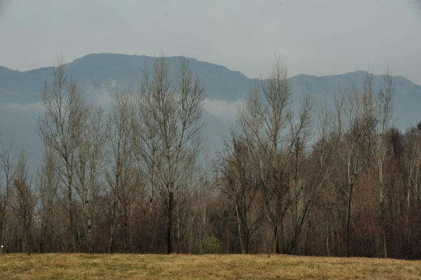 Oasi San Daniele a Liedolo, Parco Ezzelini San Zenone degli Ezzelini