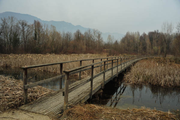 Oasi San Daniele a Liedolo, Parco Ezzelini San Zenone degli Ezzelini