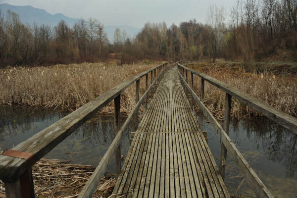 Oasi San Daniele a Liedolo, Parco Ezzelini San Zenone degli Ezzelini