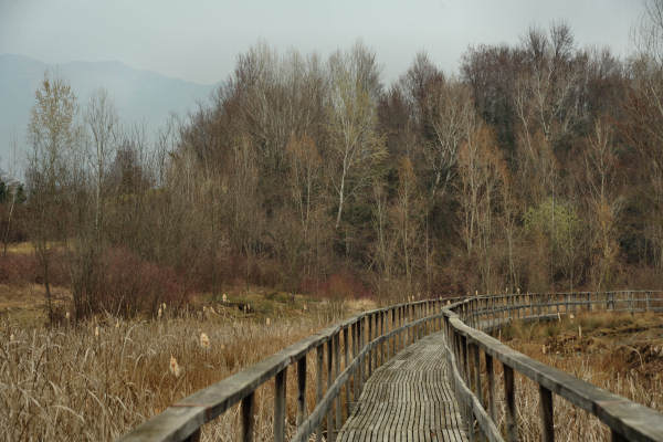 Oasi San Daniele a Liedolo, Parco Ezzelini San Zenone degli Ezzelini