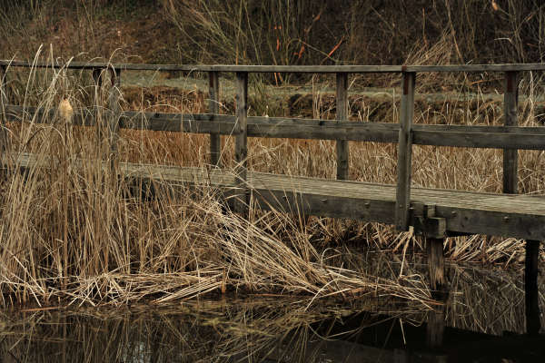 Oasi San Daniele a Liedolo, Parco Ezzelini San Zenone degli Ezzelini
