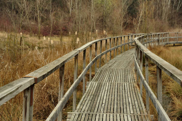 Oasi San Daniele a Liedolo, Parco Ezzelini San Zenone degli Ezzelini