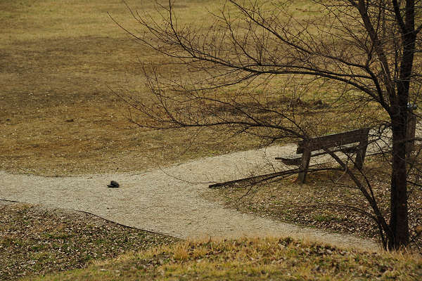 Oasi San Daniele a Liedolo, Parco Ezzelini San Zenone degli Ezzelini