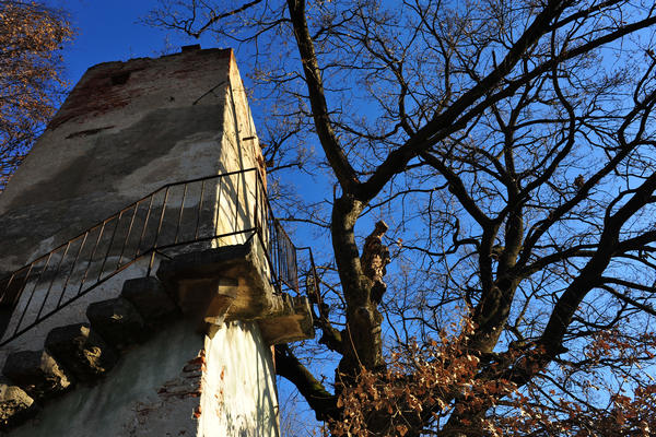Sentieri Natura a Mussolente