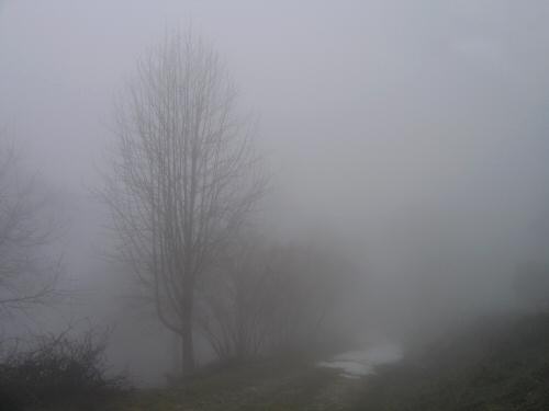 Bassano del Grappa: Monte Caina