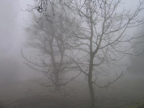 Bassano del Grappa: Monte Caina