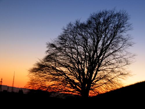 foto tramonto Rubbio