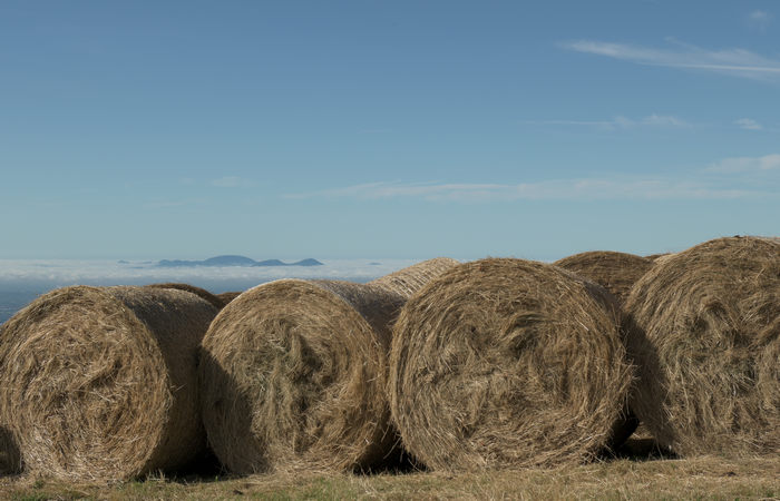 I Trinceroni di monte Campolongo a Rubbio, Altopiano di Asiago nei luoghi della Grande Guerra