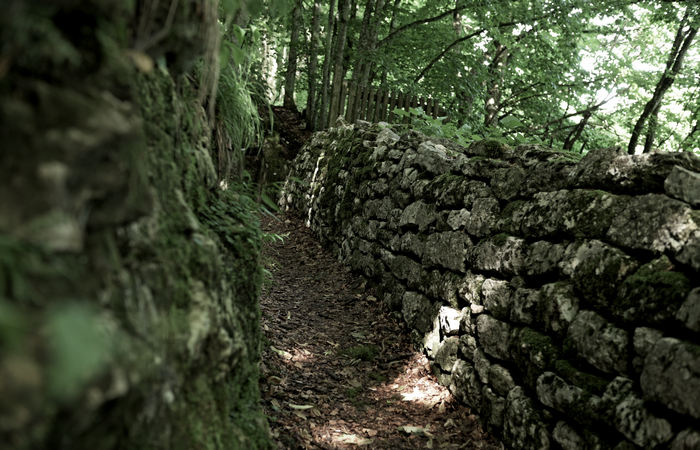 I Trinceroni di monte Campolongo a Rubbio, Altopiano di Asiago nei luoghi della Grande Guerra