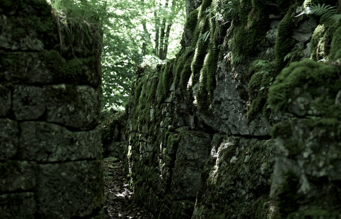 I Trinceroni di monte Campolongo a Rubbio, Altopiano di Asiago nei luoghi della Grande Guerra