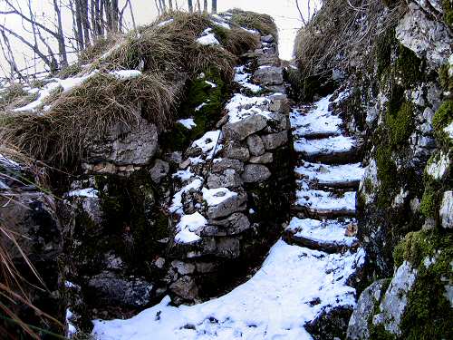 Trinceroni Campolongo - Rubbio