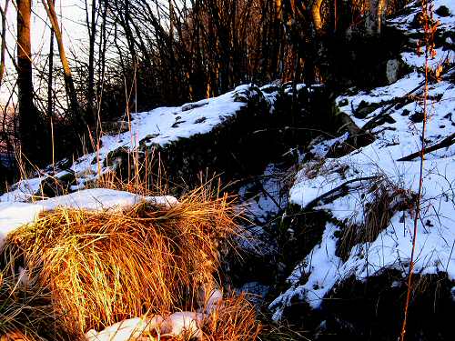 Trinceroni Campolongo - Rubbio