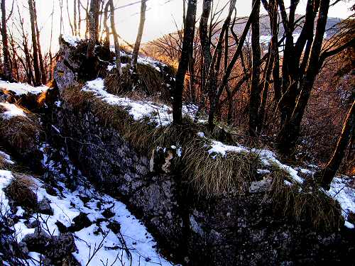 Trinceroni Campolongo - Rubbio