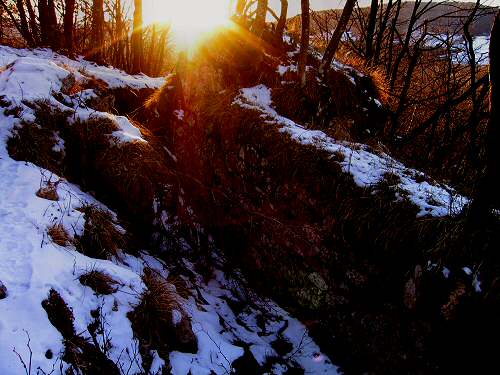 Trinceroni Campolongo - Rubbio