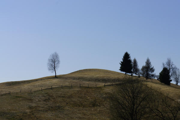 malga Monte Garda al monte Cesen - Lentiai Valbelluna