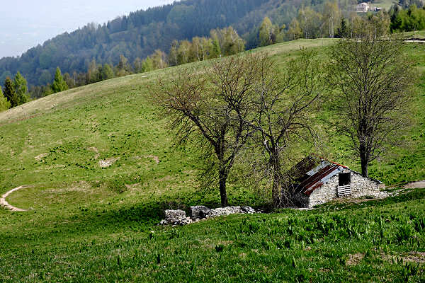 escursione nordic walking Stabie di Lentiai, monte Artent e Col Moscher