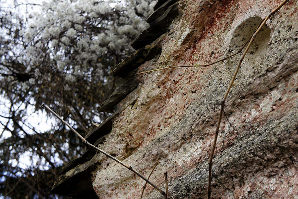 Sentiero Buzzati, Madonna Parè, Giaon di Limana