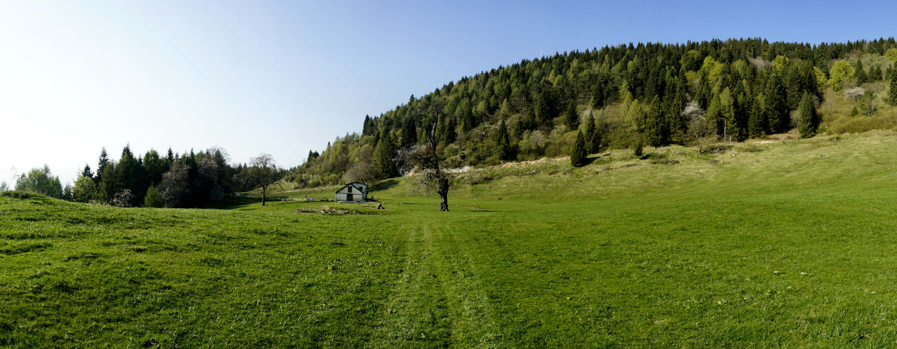 Limana, Valmorel nei pressi di malga i Van