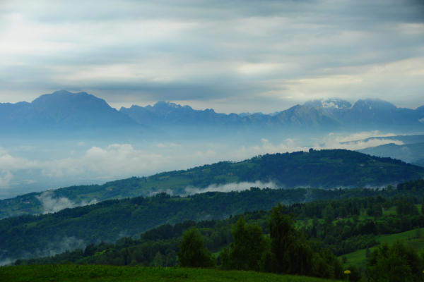 Boz Canidi Val d'Arc