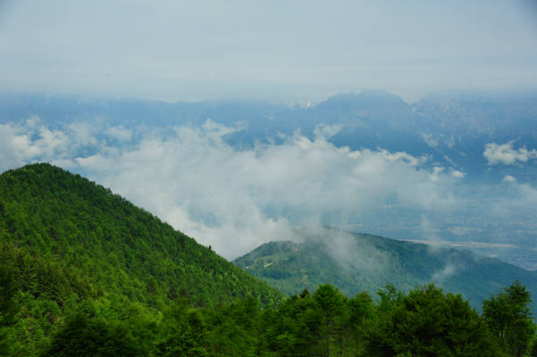 Boz Canidi Val d'Arc