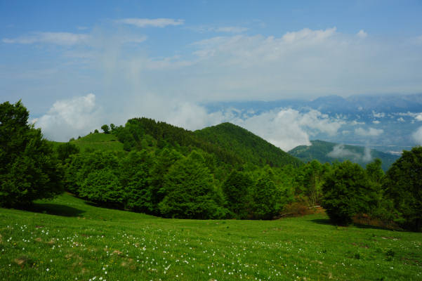 Boz Canidi Val d'Arc