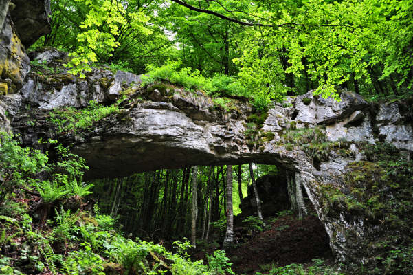 Boz Canidi Val d'Arc