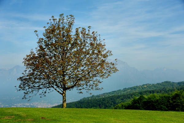 anello nordic walking Nevegal al Col Visentin Faverghera, Belluno