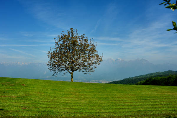 anello nordic walking Nevegal al Col Visentin Faverghera, Belluno