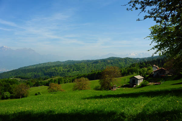 anello nordic walking Nevegal al Col Visentin Faverghera, Belluno