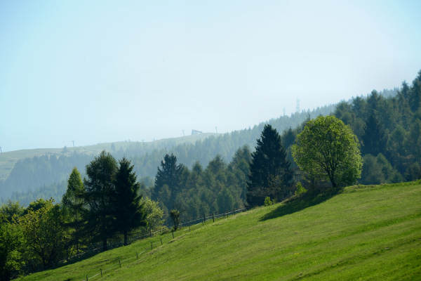 anello nordic walking Nevegal al Col Visentin Faverghera, Belluno