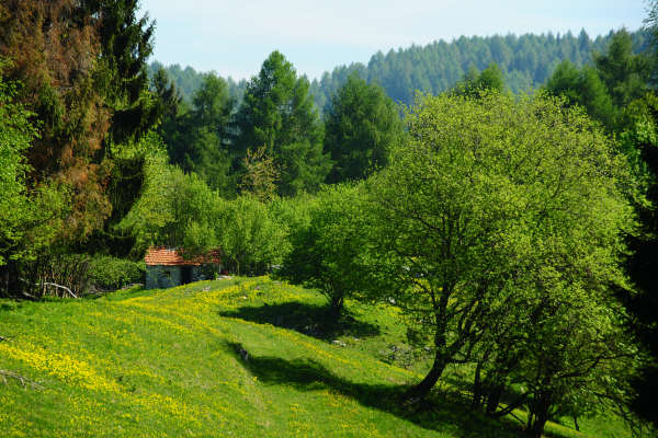 anello nordic walking Nevegal al Col Visentin Faverghera, Belluno