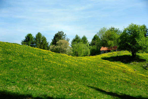 anello nordic walking Nevegal al Col Visentin Faverghera, Belluno