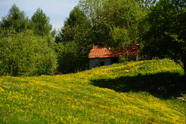 anello nordic walking Nevegal al Col Visentin Faverghera, Belluno