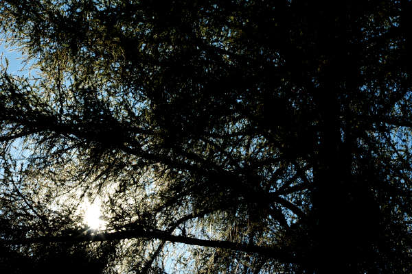 anello nordic walking Nevegal al Col Visentin Faverghera, Belluno