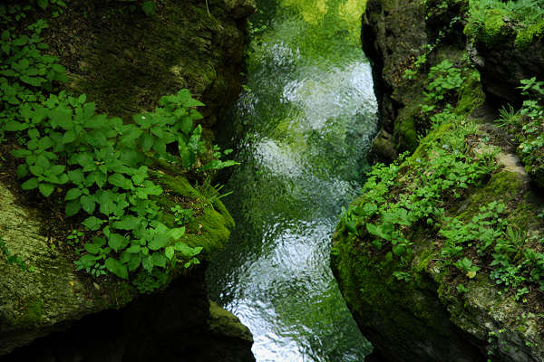 Valle del torrente Ardo, Val de l'Art, monte Schiara, Belluno