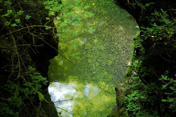 Valle del torrente Ardo, Val de l'Art, monte Schiara, Belluno