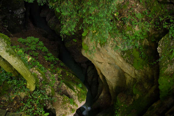 Valle del torrente Ardo, Val de l'Art, monte Schiara, Belluno