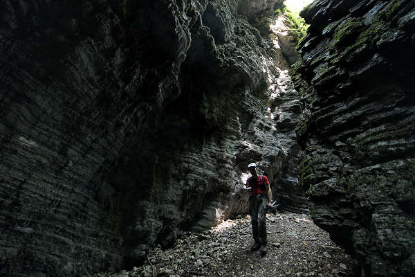 Valle del torrente Ardo, Val de l'Art, monte Schiara, Belluno