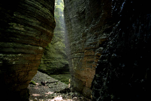 Valle del torrente Ardo, Val de l'Art, monte Schiara, Belluno
